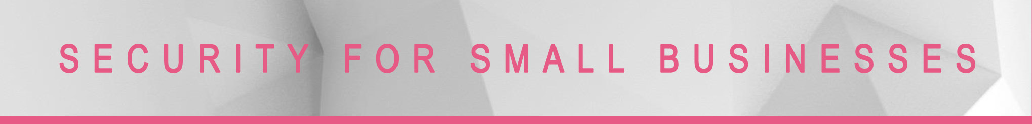 small-bus